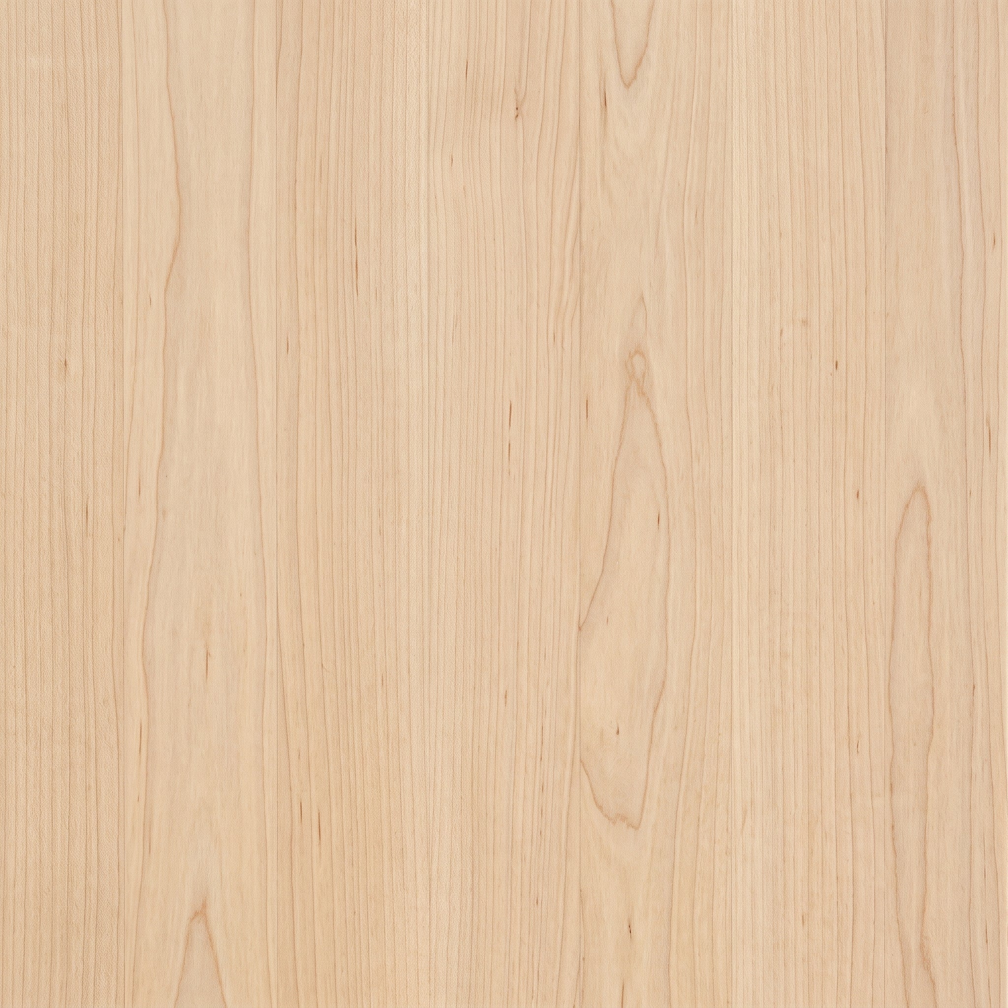 Maple